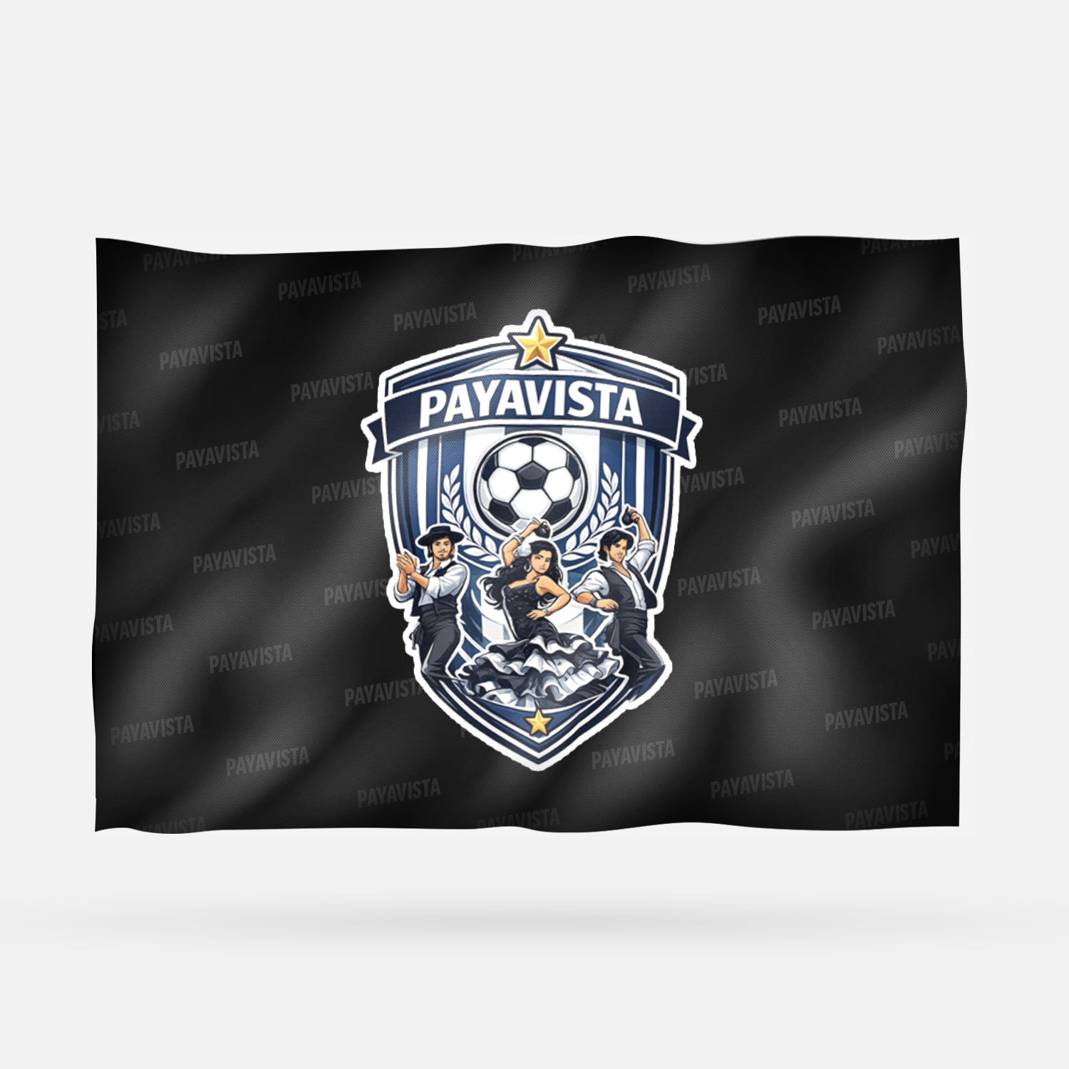 PAYAVISTA - Imagen 8