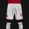 INTERNACIONAL DE GRANADA SEGUNDA - Imagen 12