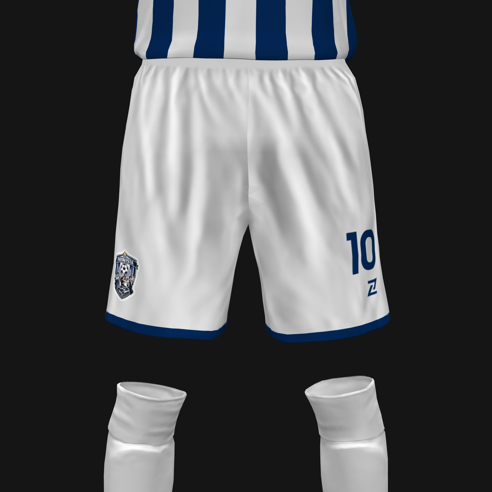 PAYAVISTA - Imagen 4