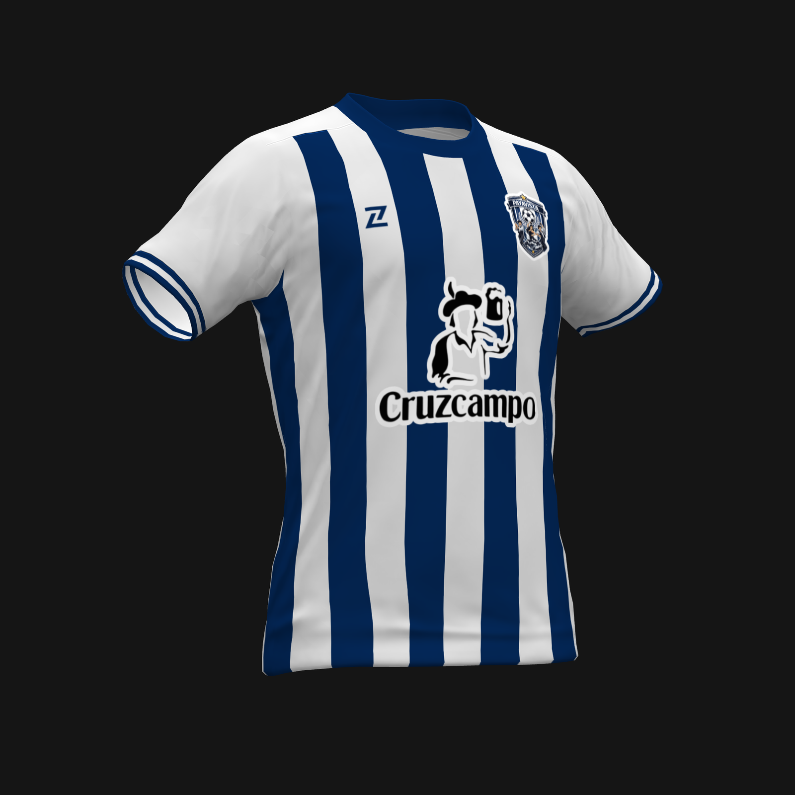 PAYAVISTA - Imagen 2