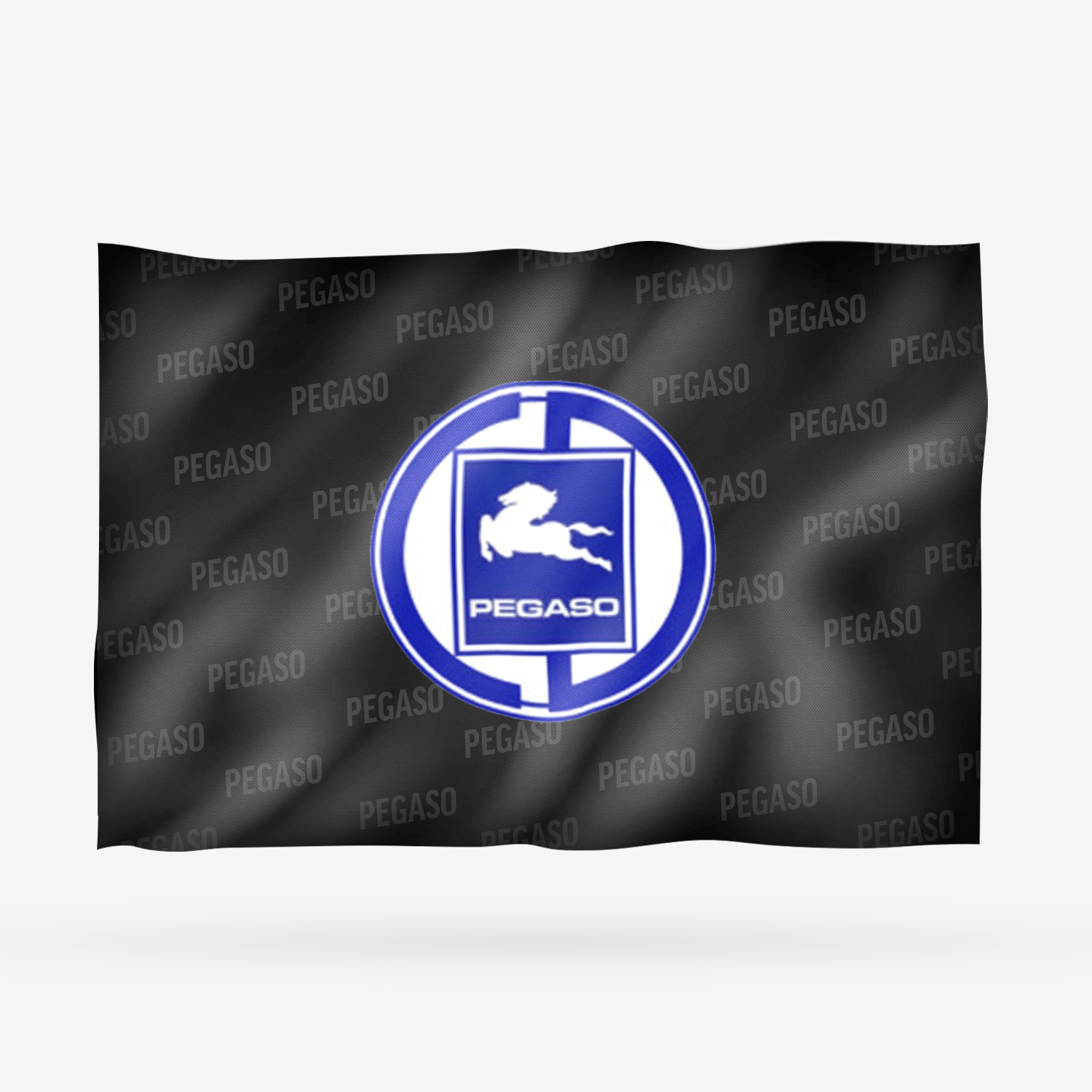 PEGASO - Imagen 7