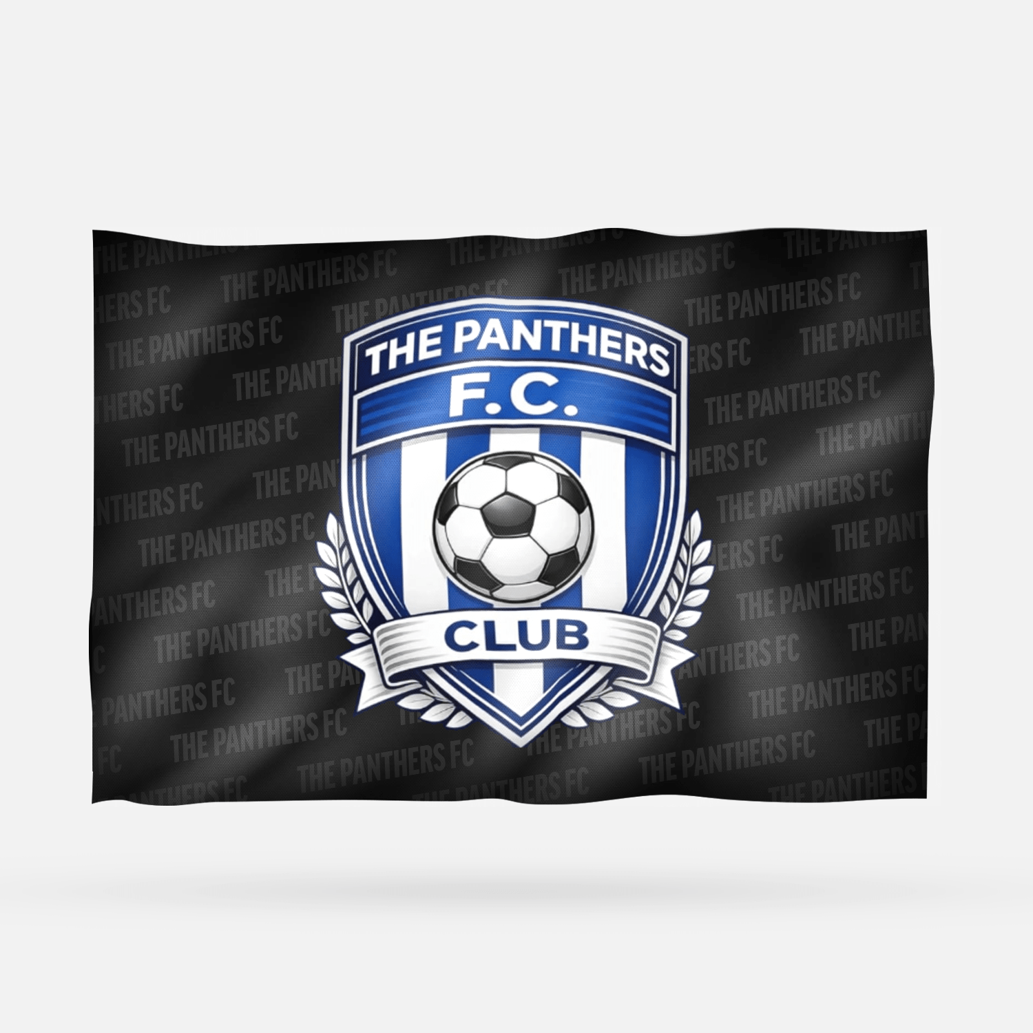 THE PANTHERS FC - Imagen 6