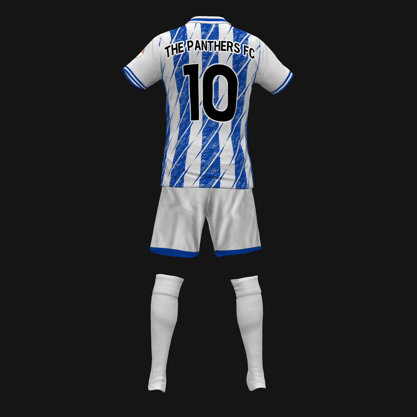 THE PANTHERS FC - Imagen 3