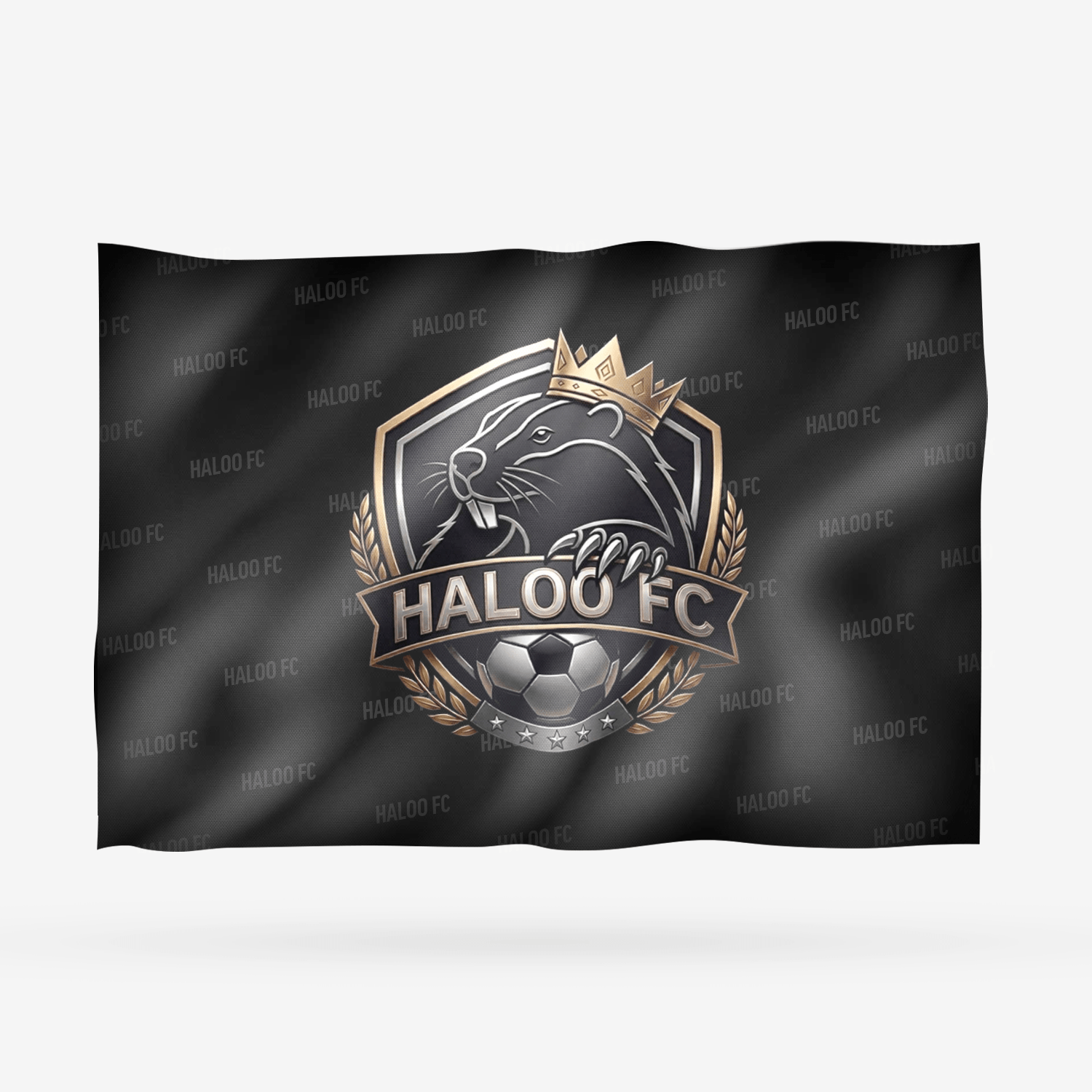 HALOO FC - Imagen 9