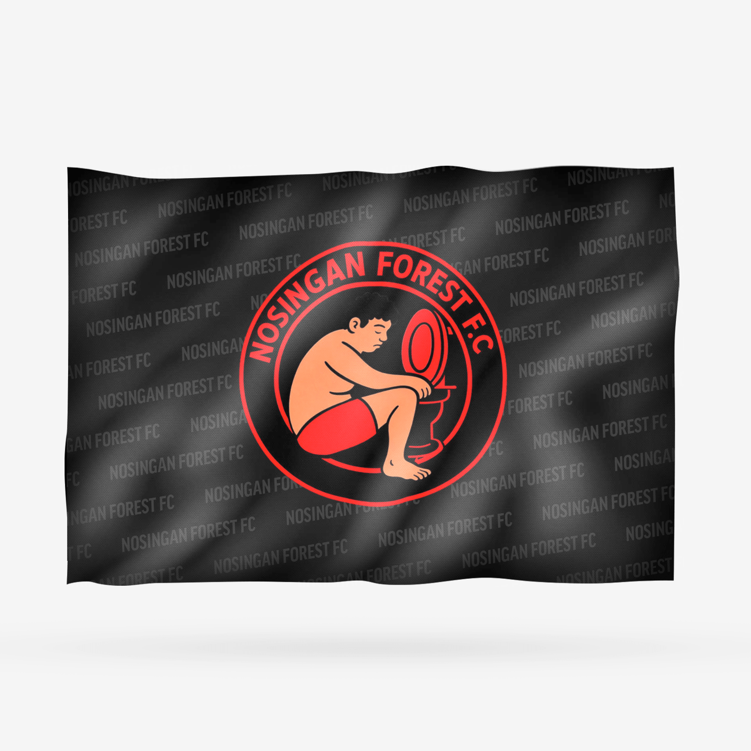 NOSINGAN FOREST FC - Imagen 7