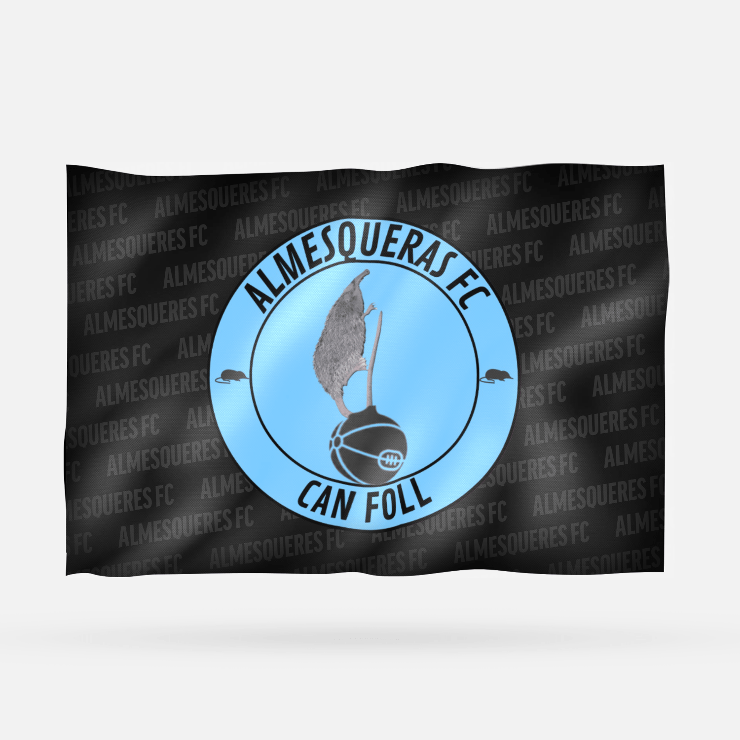 ALMESQUERES FC - Imagen 6