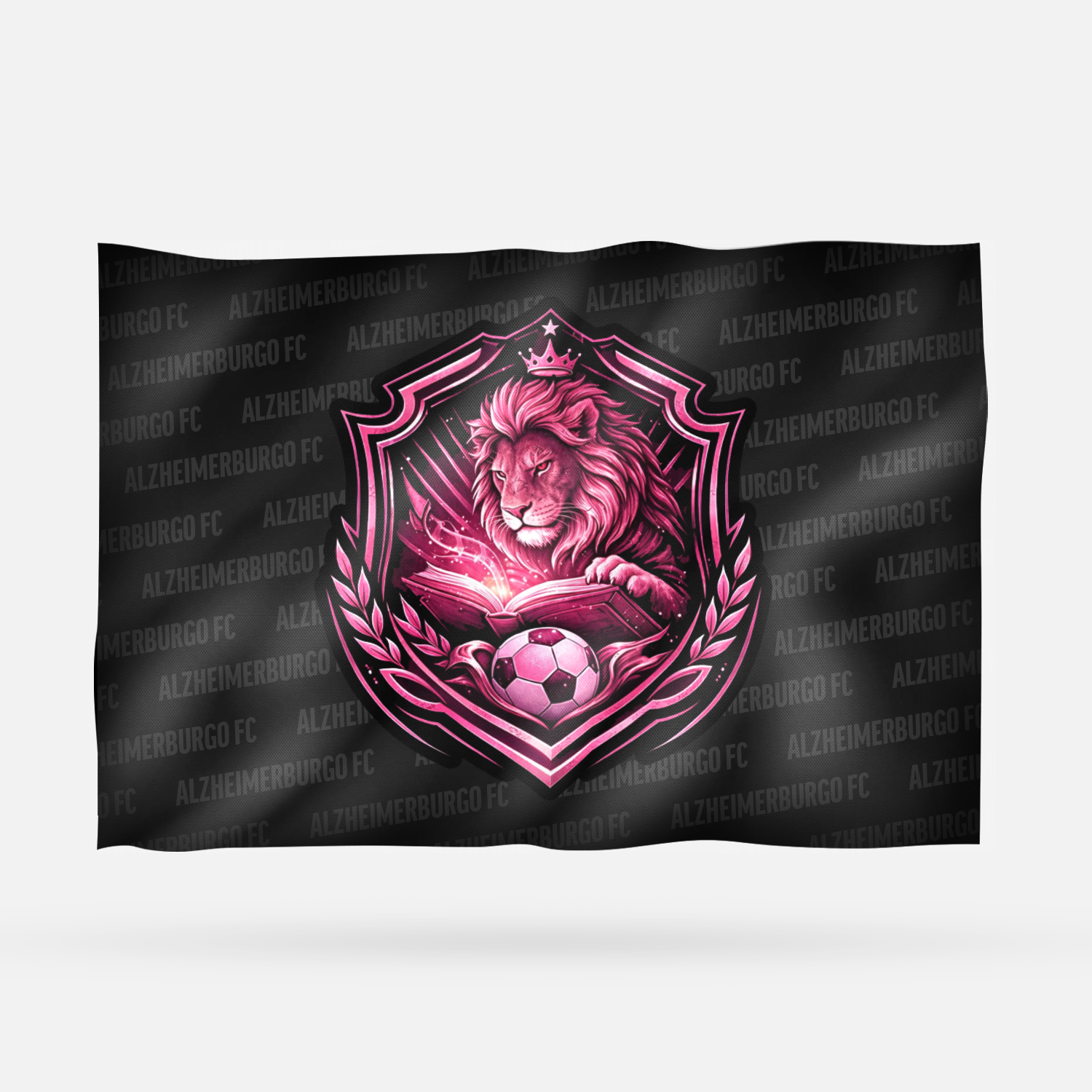 ALZHEIMERBURGO FC - Imagen 6