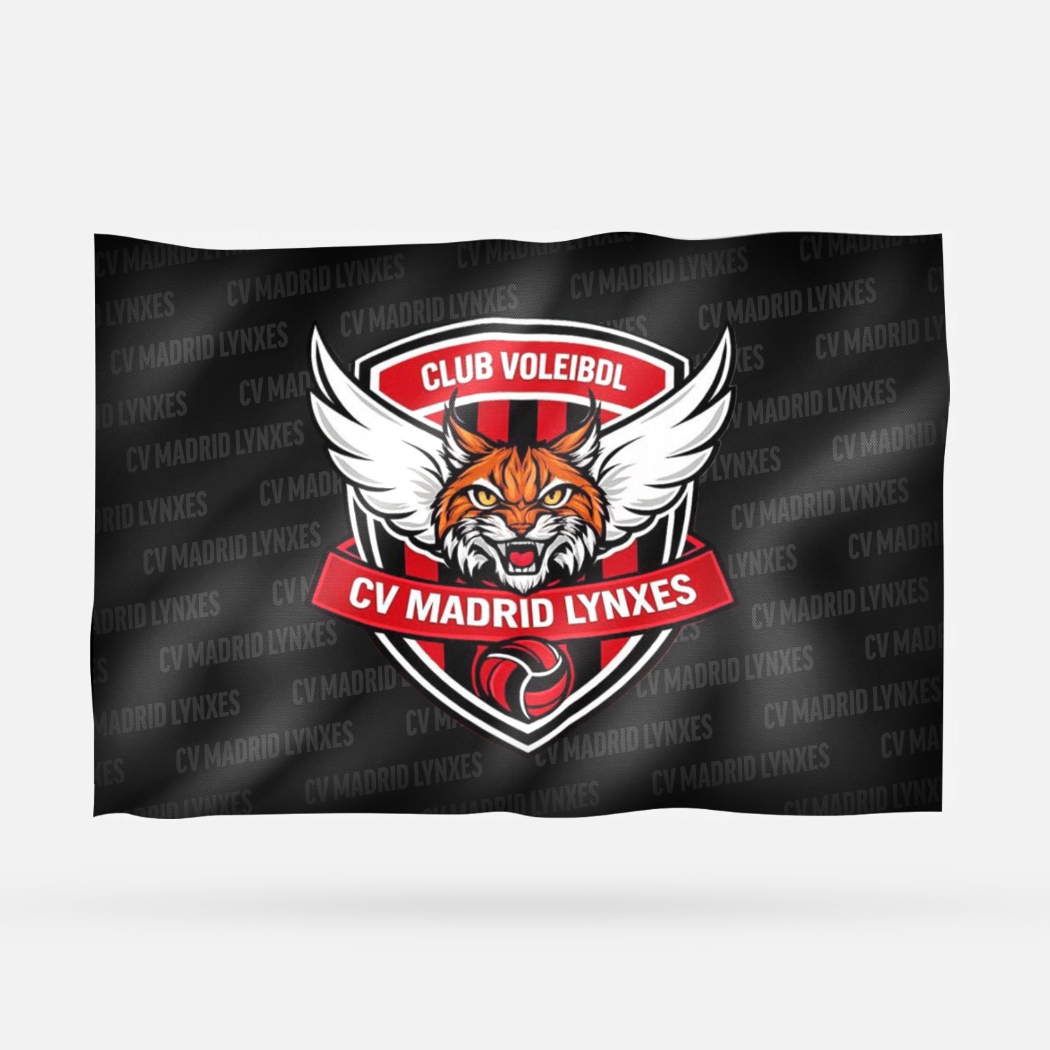 CV MADRID LYNXES - Imagen 8