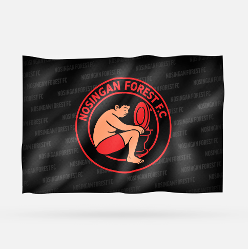 NOSINGAN FOREST FC - Imagen 6