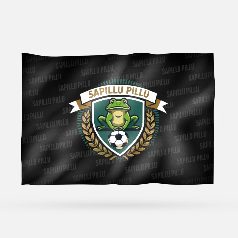 SAPILLU PILLU FC - Imagen 6