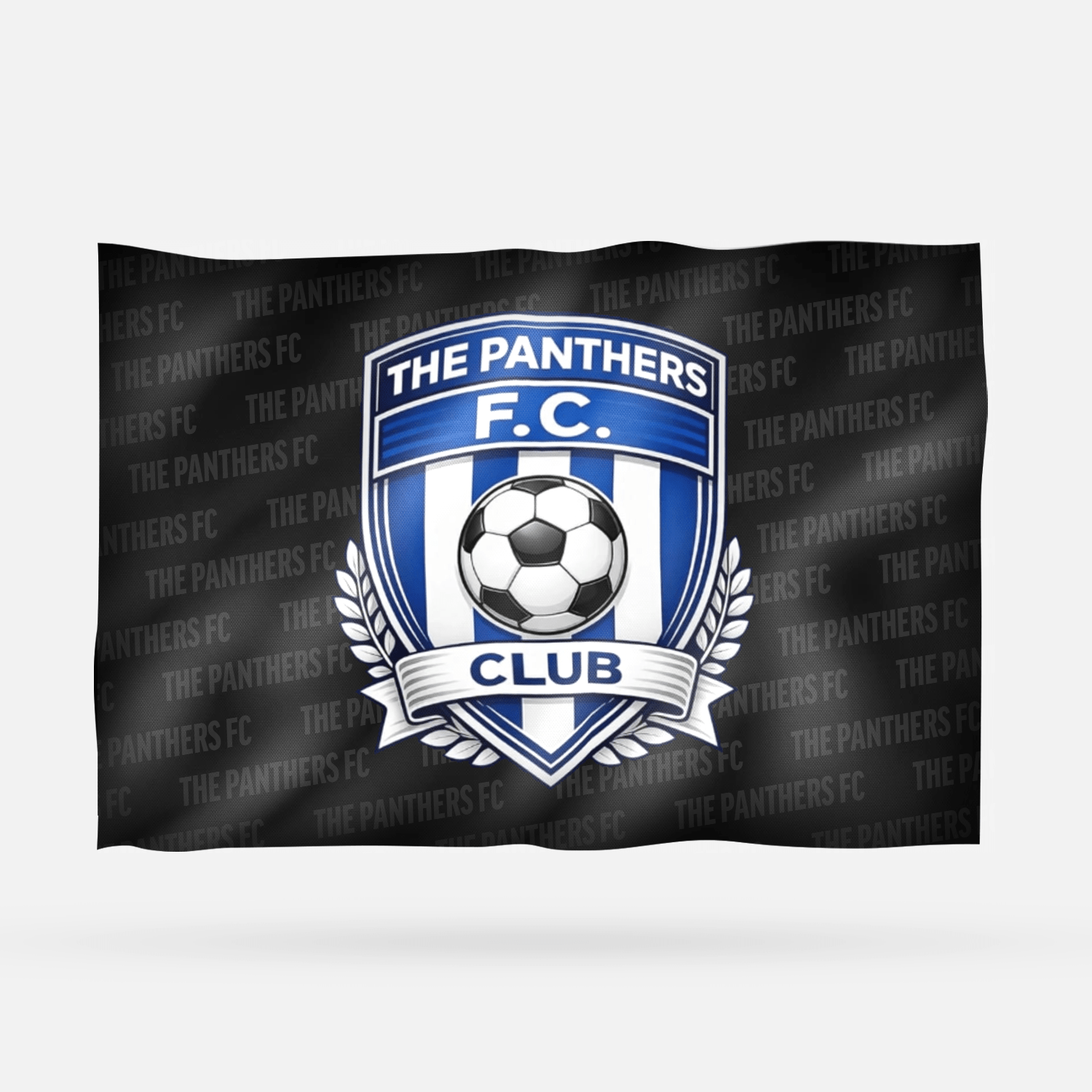 THE PANTHERS FC 2026 - Imagen 6