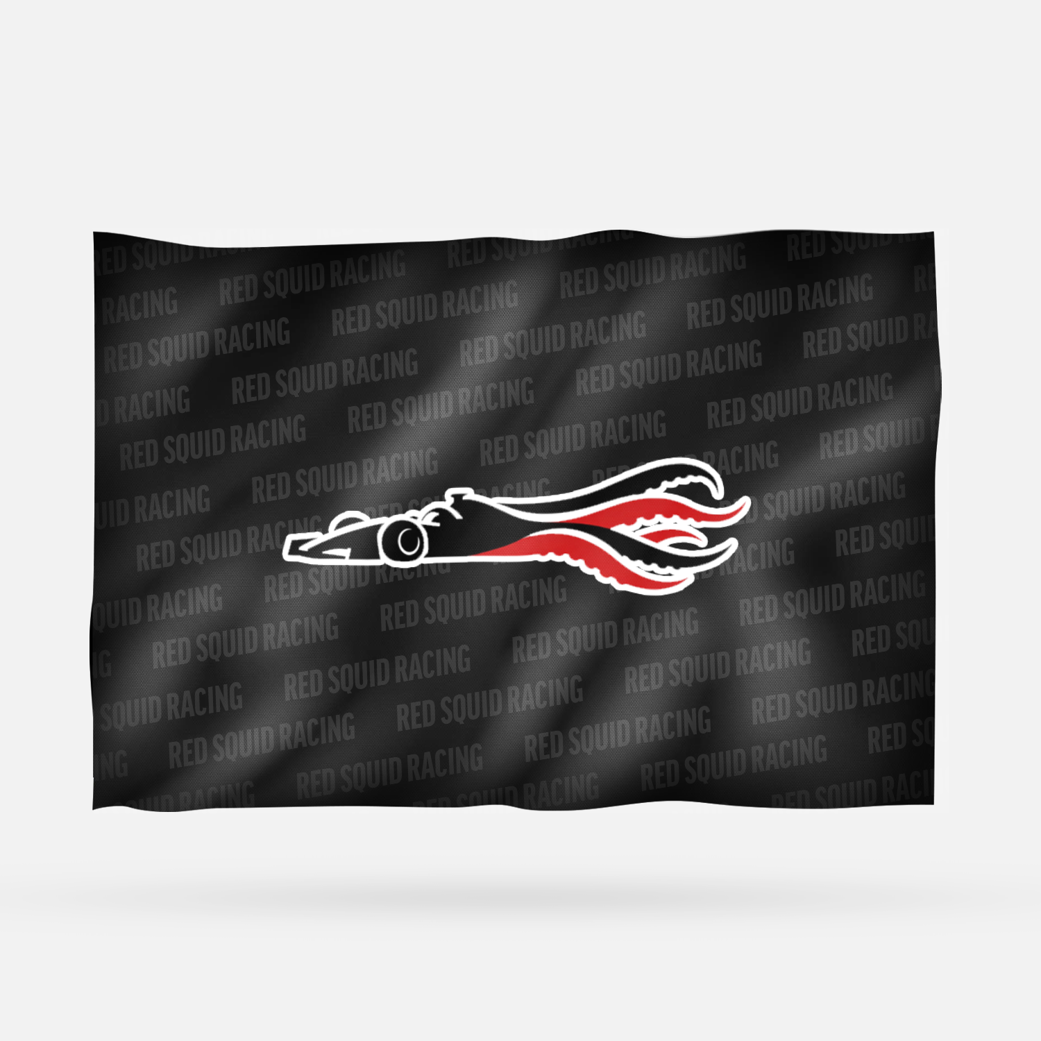 RED SQUID RACING - Imagen 6