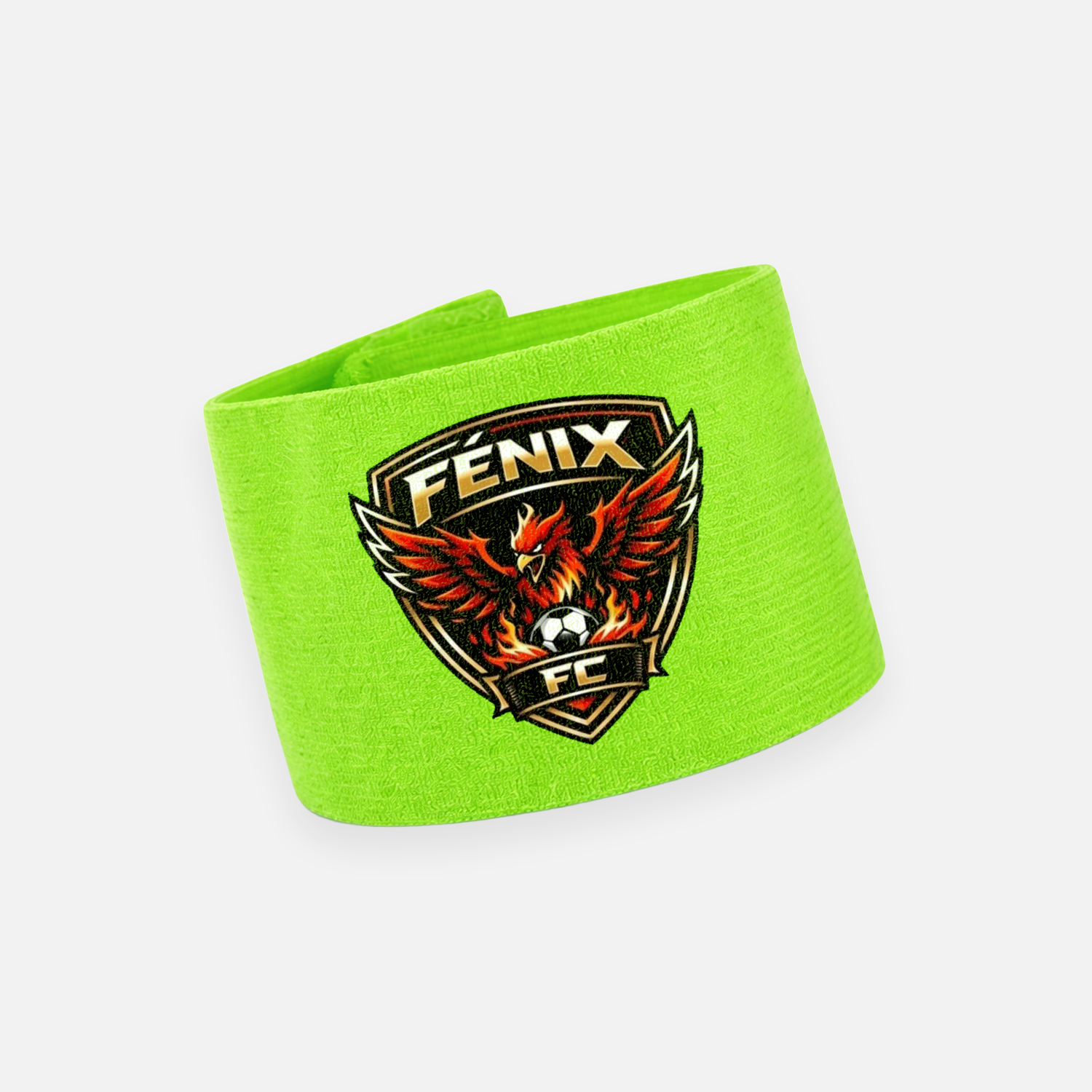 FÉNIX 2026 - Imagen 7