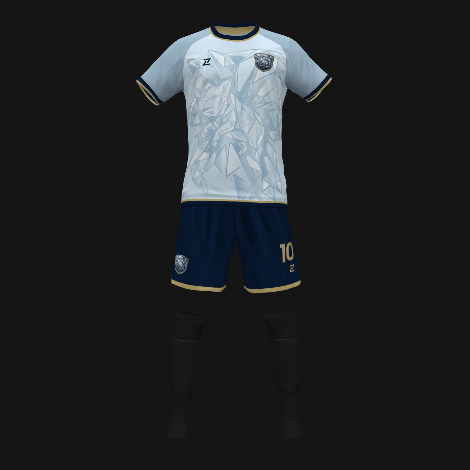 COCHINILLOS FC - Imagen 2