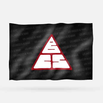 BCS NEGRA - Imagen 4