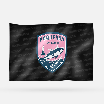 BOQUERON CANTABRICO - Imagen 6