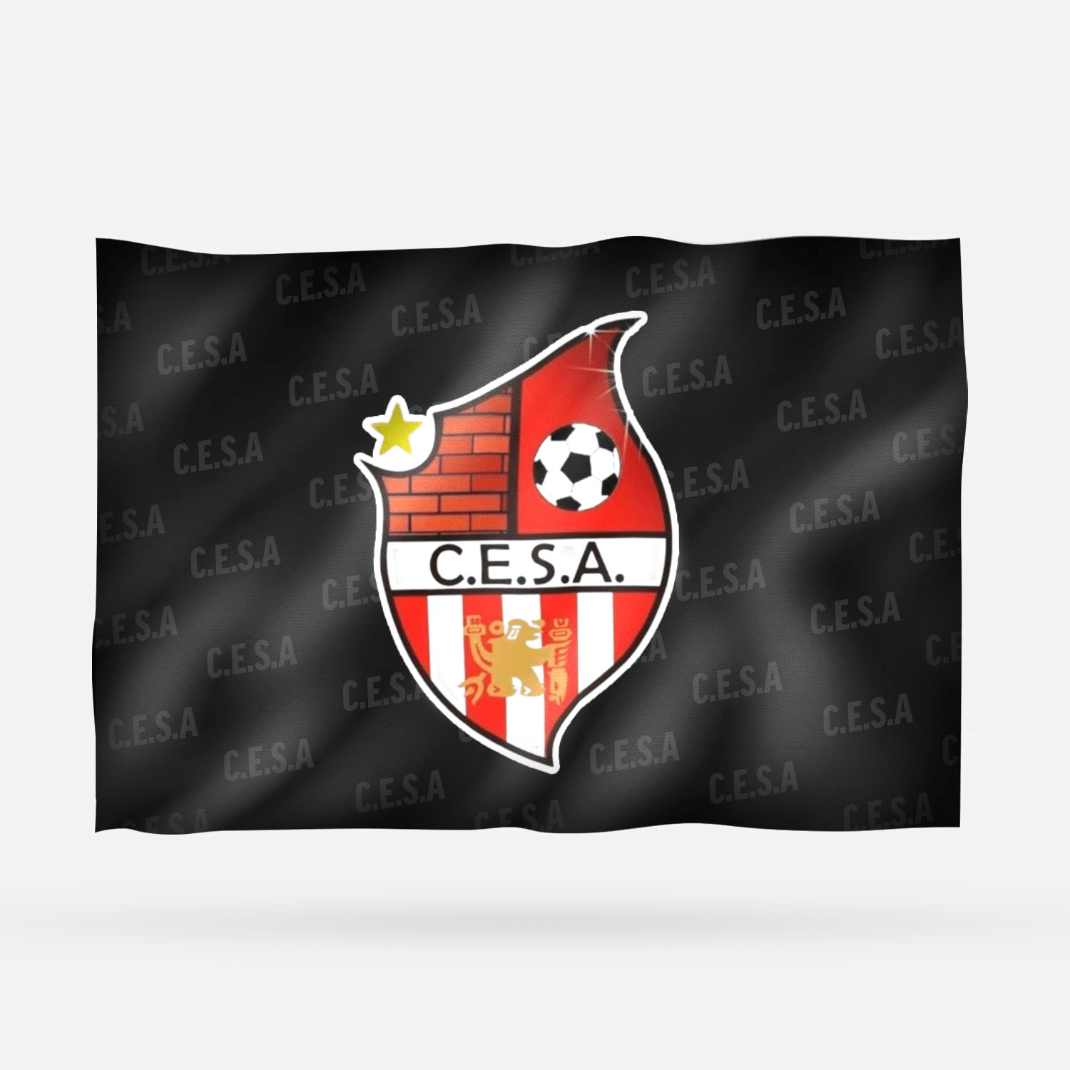 C.E.S.A - Imagen 6