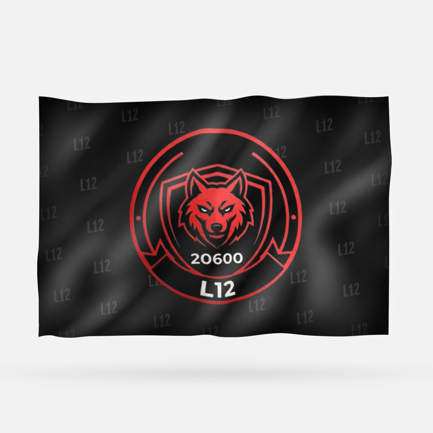 L12 - Imagen 3