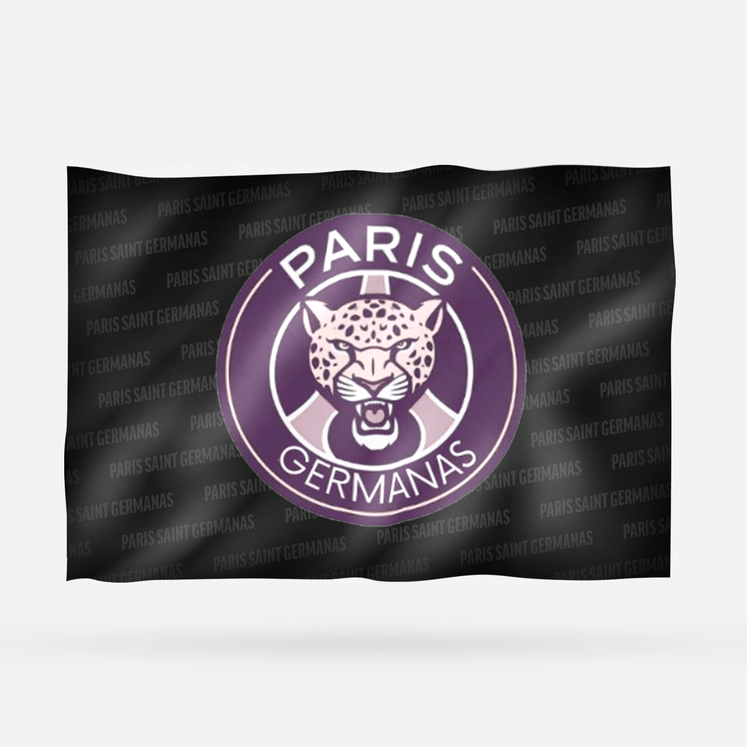 PARIS SAINT GERMANAS - Imagen 3
