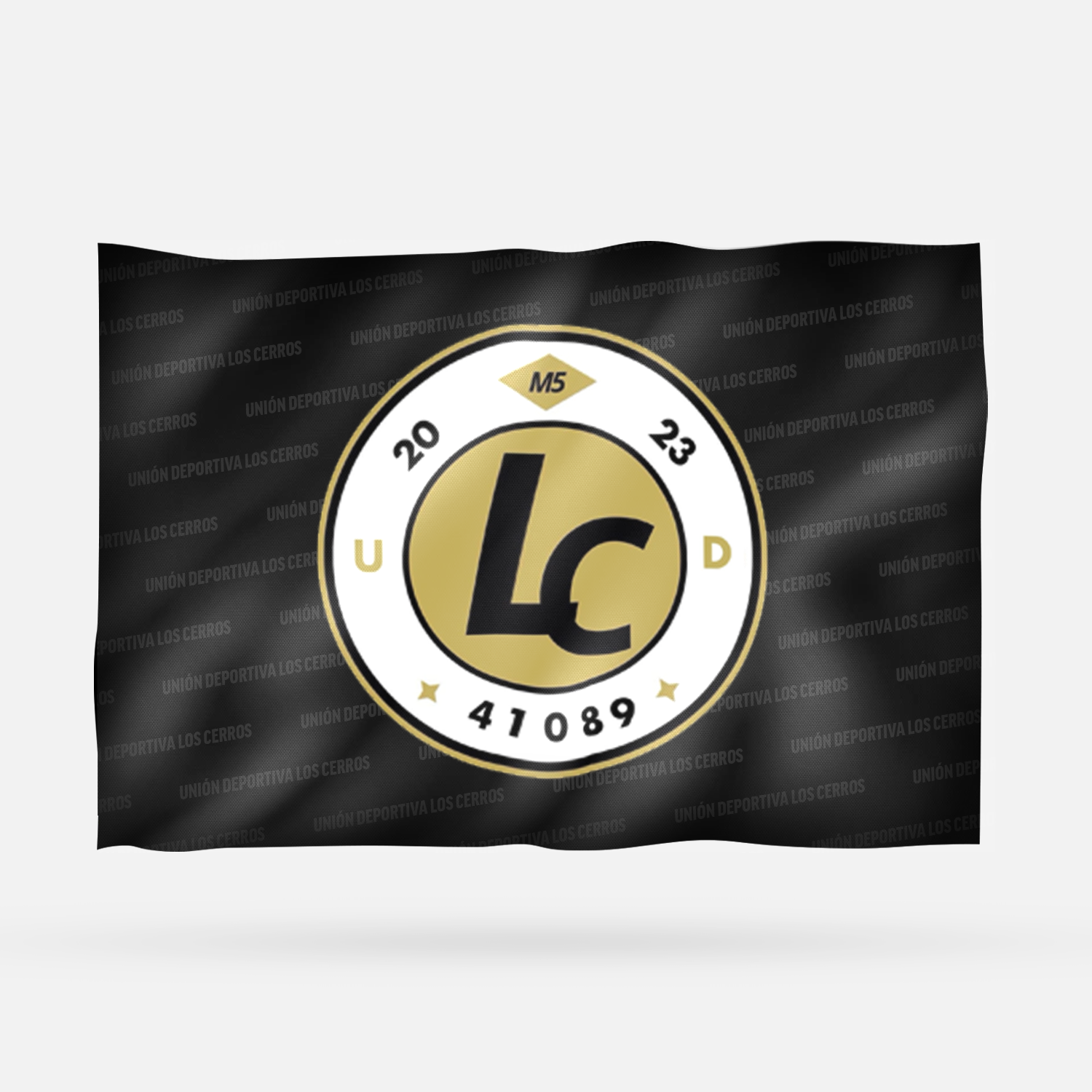 UNIÓN DEPORTIVA LOS CERROS ALTERNATIVA - Imagen 8