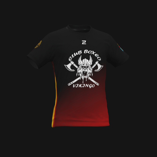 CLUB DE BOXEO VIKINGO
