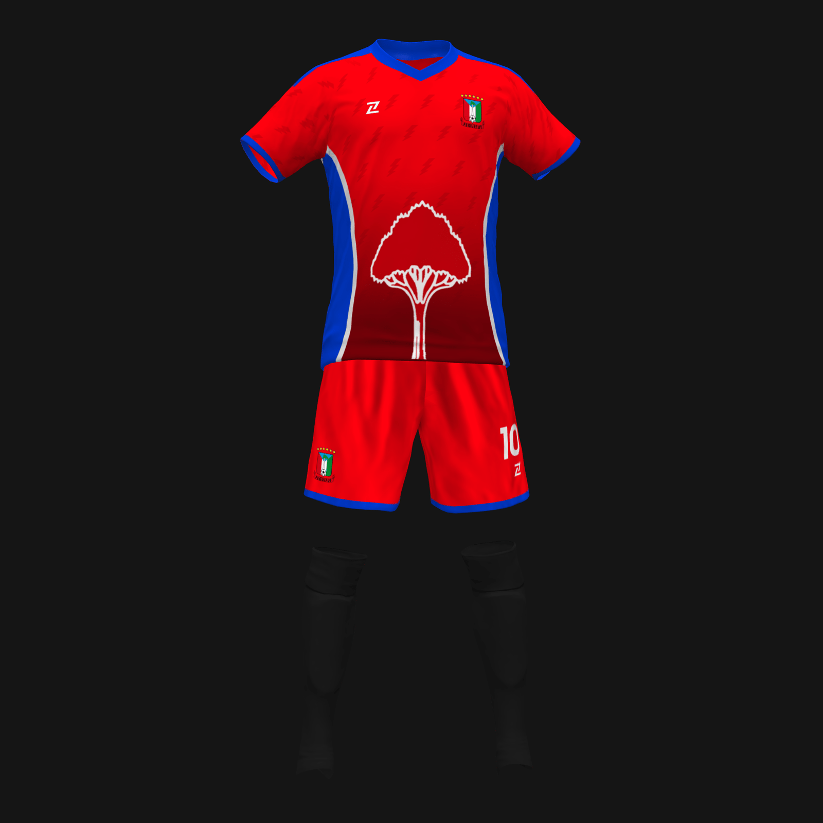 NZALANG NACIONAL PRIMERA - Imagen 2