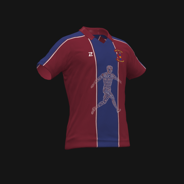 NAVARRO CF MAYOR