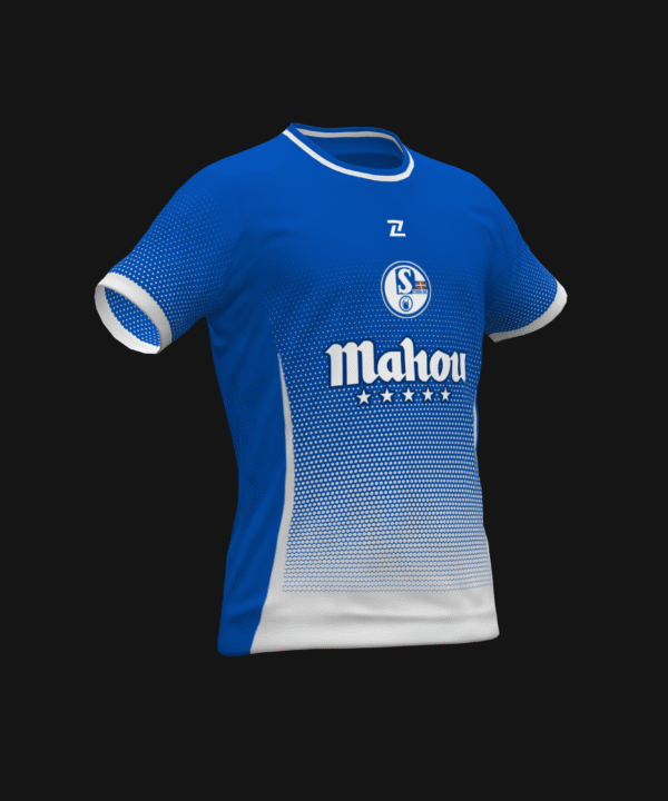 SCHALKE TEMETO