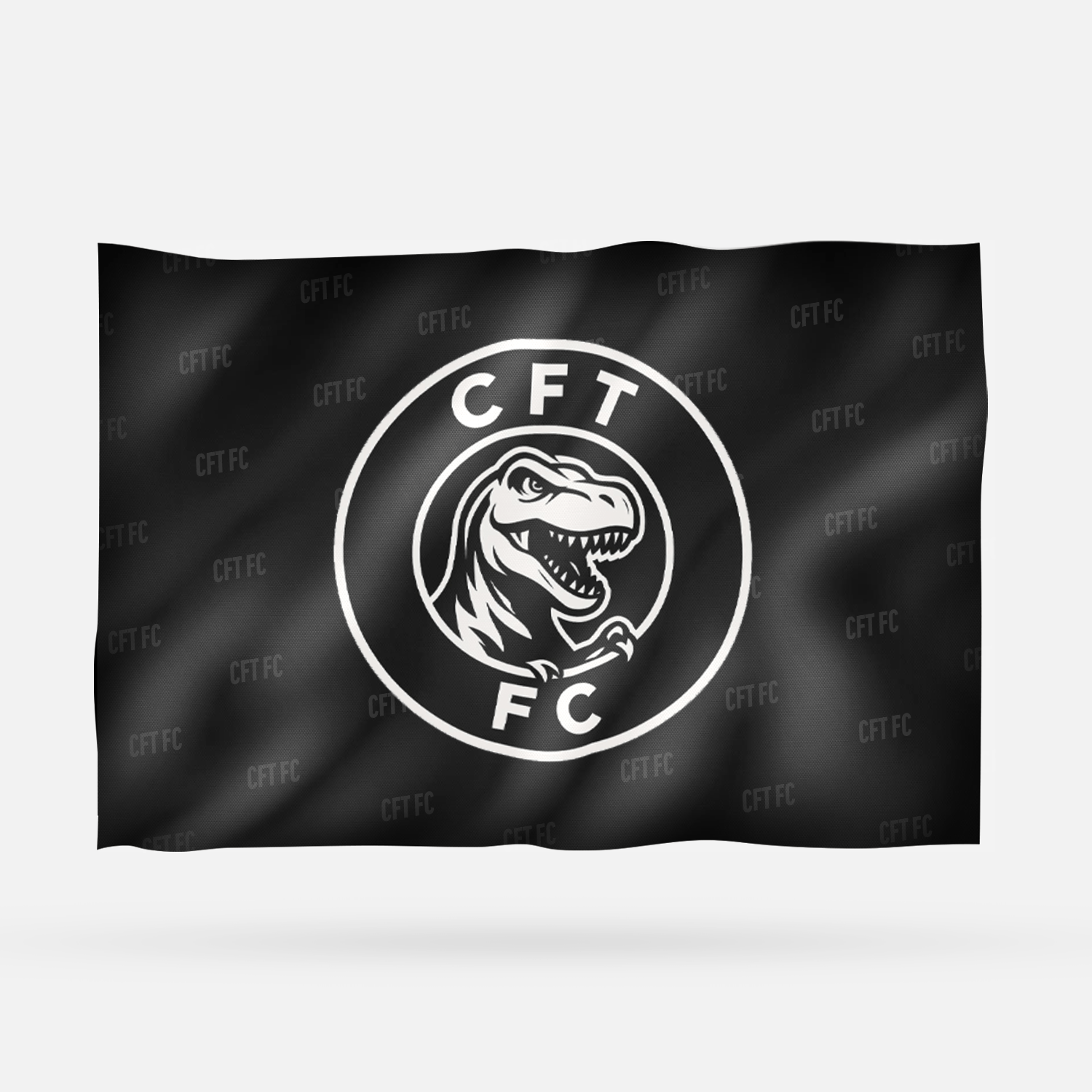 CFT FC - Imagen 6