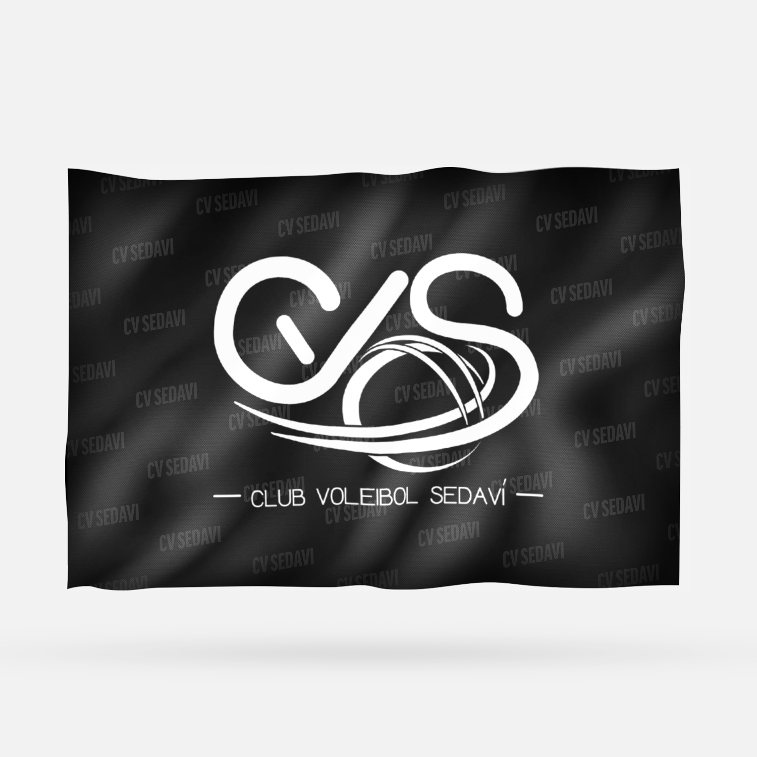 CV SEDAVI 2026 - Imagen 3
