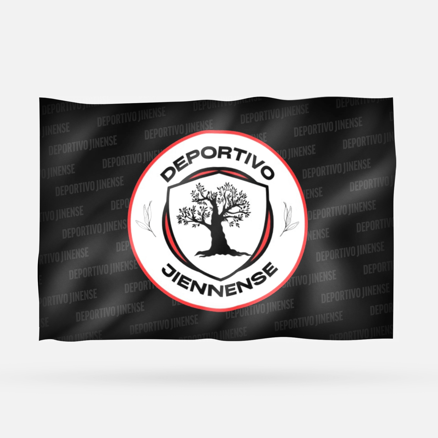 DEPORTIVO JINENSE - Imagen 6