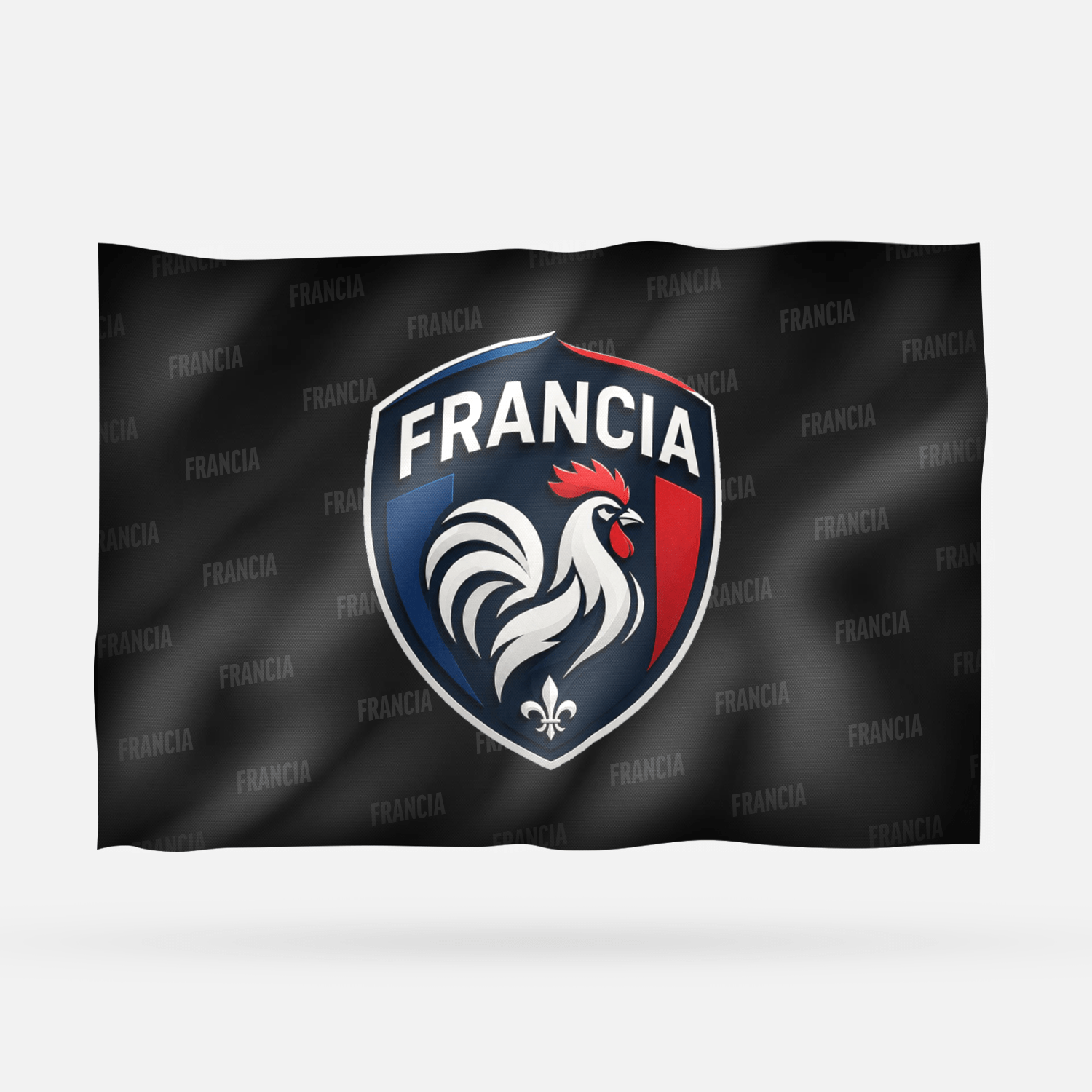 FRANCIA - Imagen 8