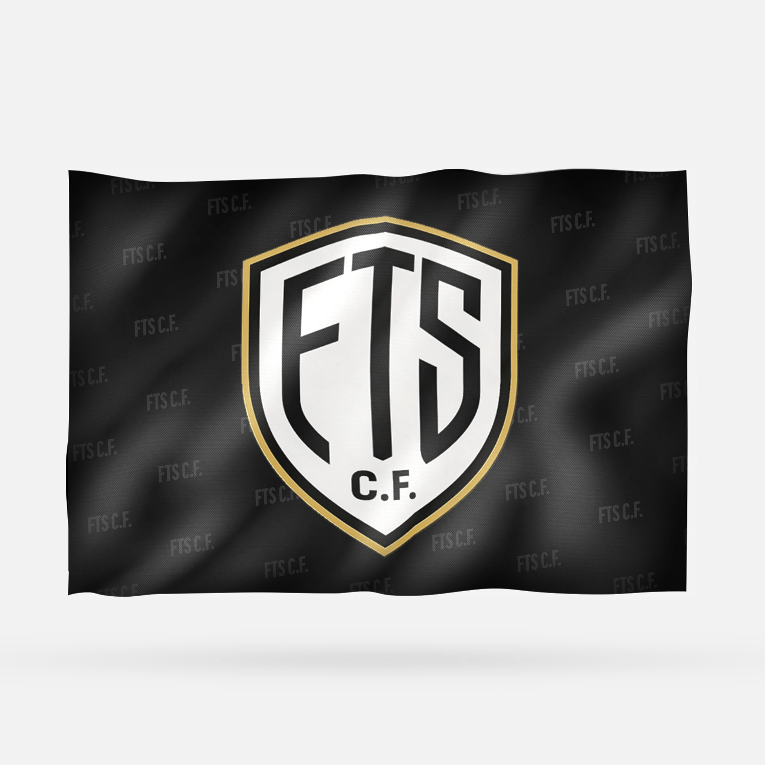 FTS C.F. - Imagen 6