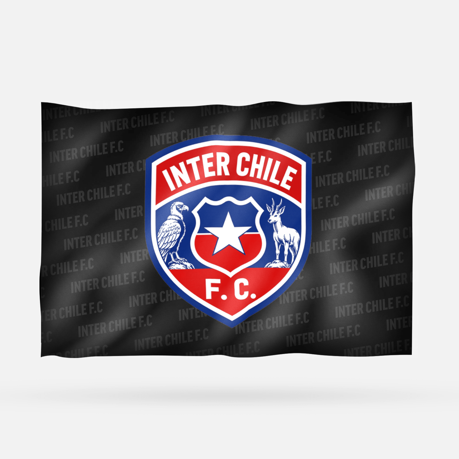 INTER CHILE F.C - Imagen 8