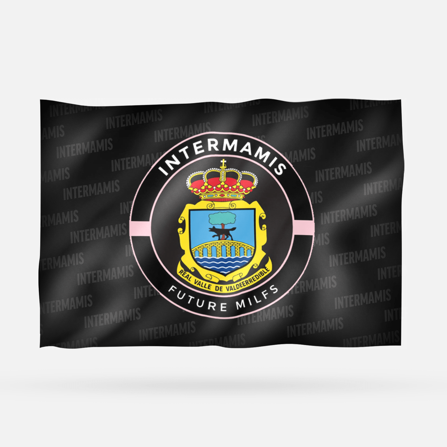 INTERMAMIS F.M - Imagen 6