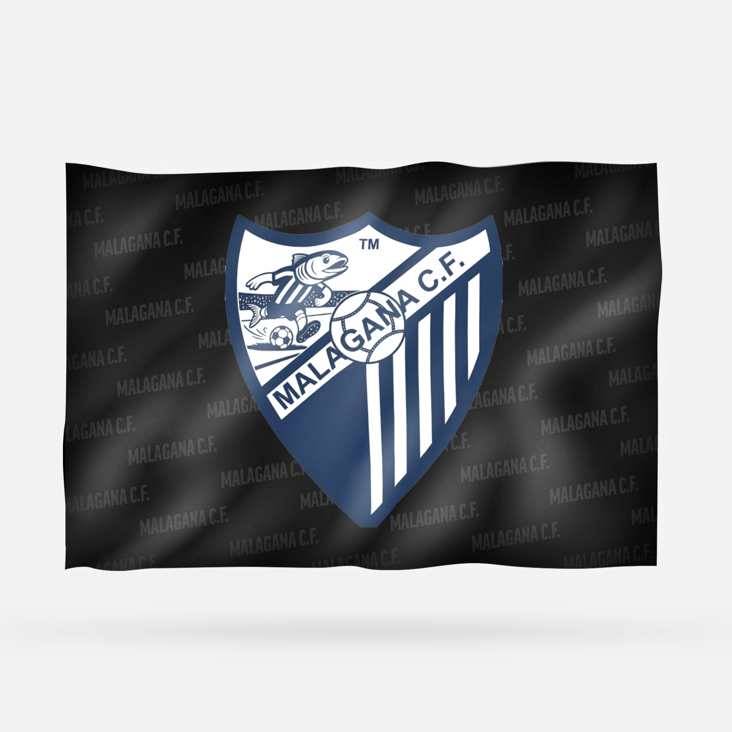 MALAGANA C.F. - Imagen 6