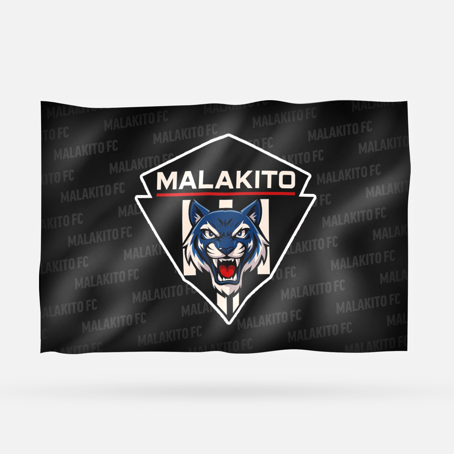MALAKITO FC - Imagen 6