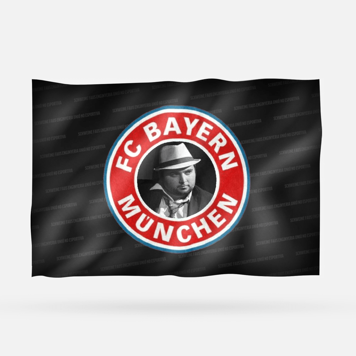 SCHWEINE FAUS ENGINYERIA UNIÓ NO ESPORTIVA - Imagen 3