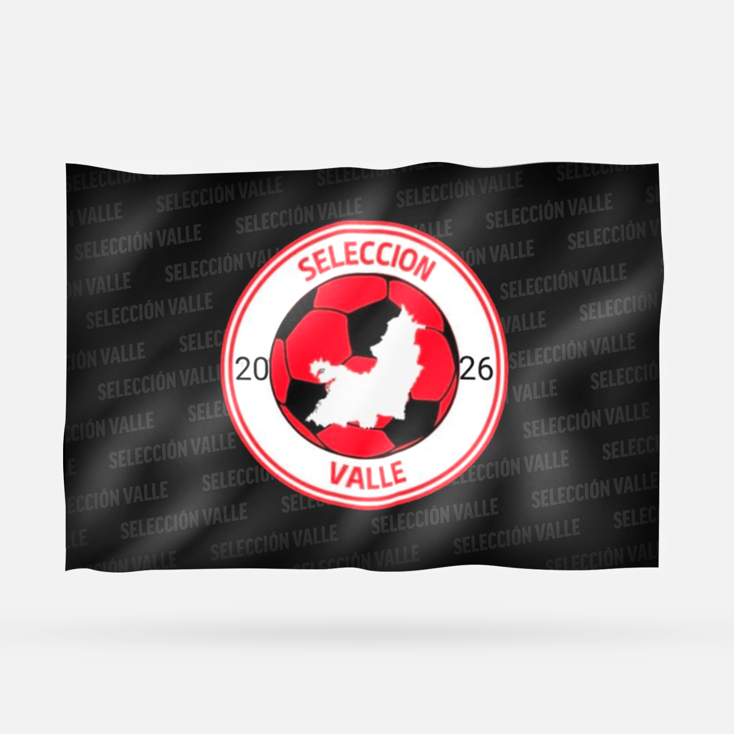 SELECCIÓN VALLE - Imagen 6