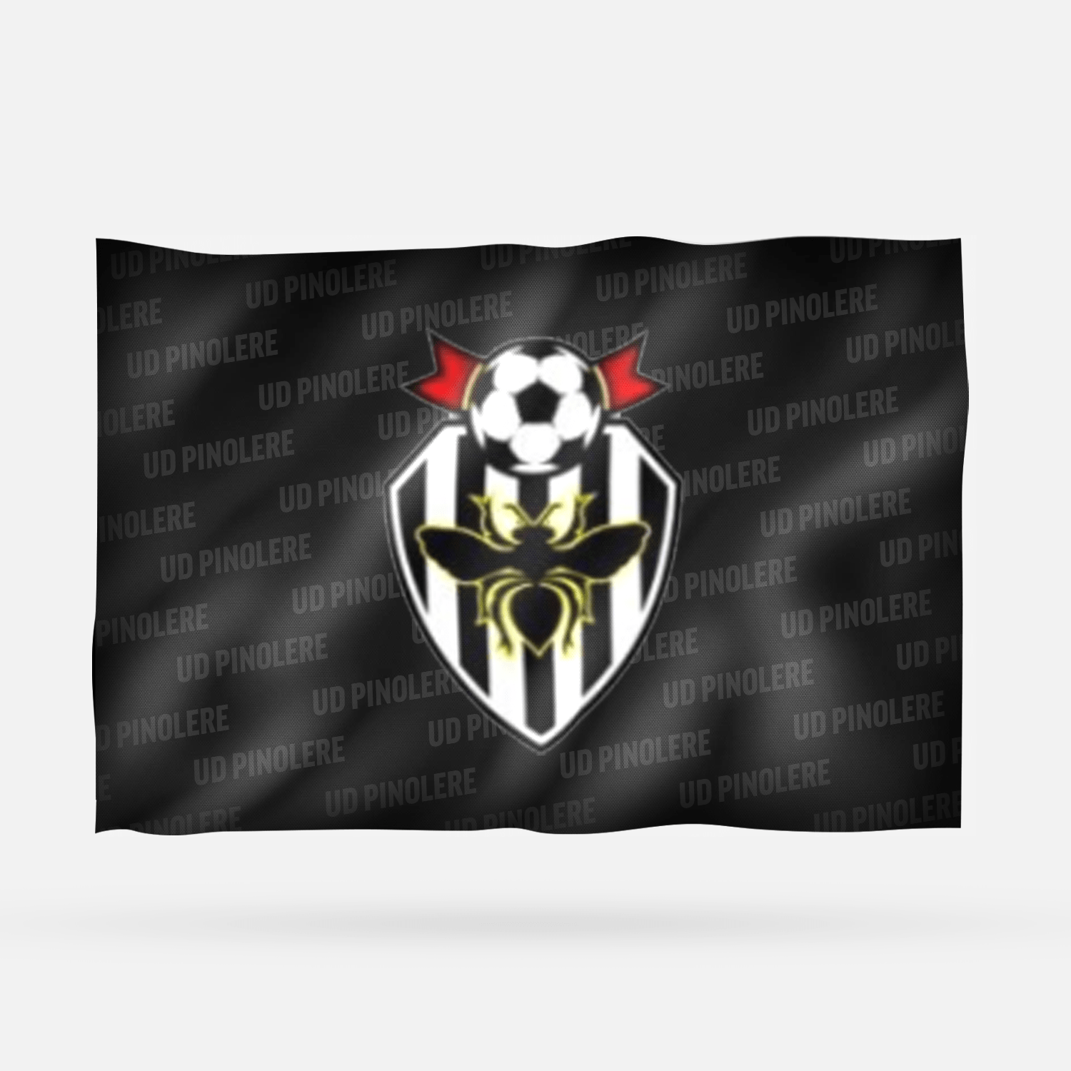 UD PINOLERE - Imagen 6