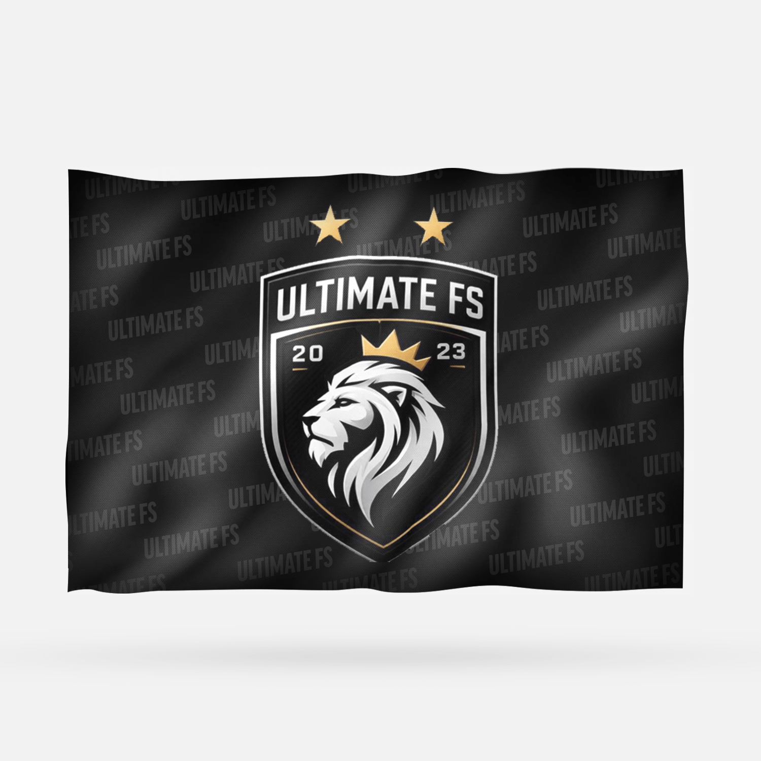 ULTIMATE FS 2026 - Imagen 3