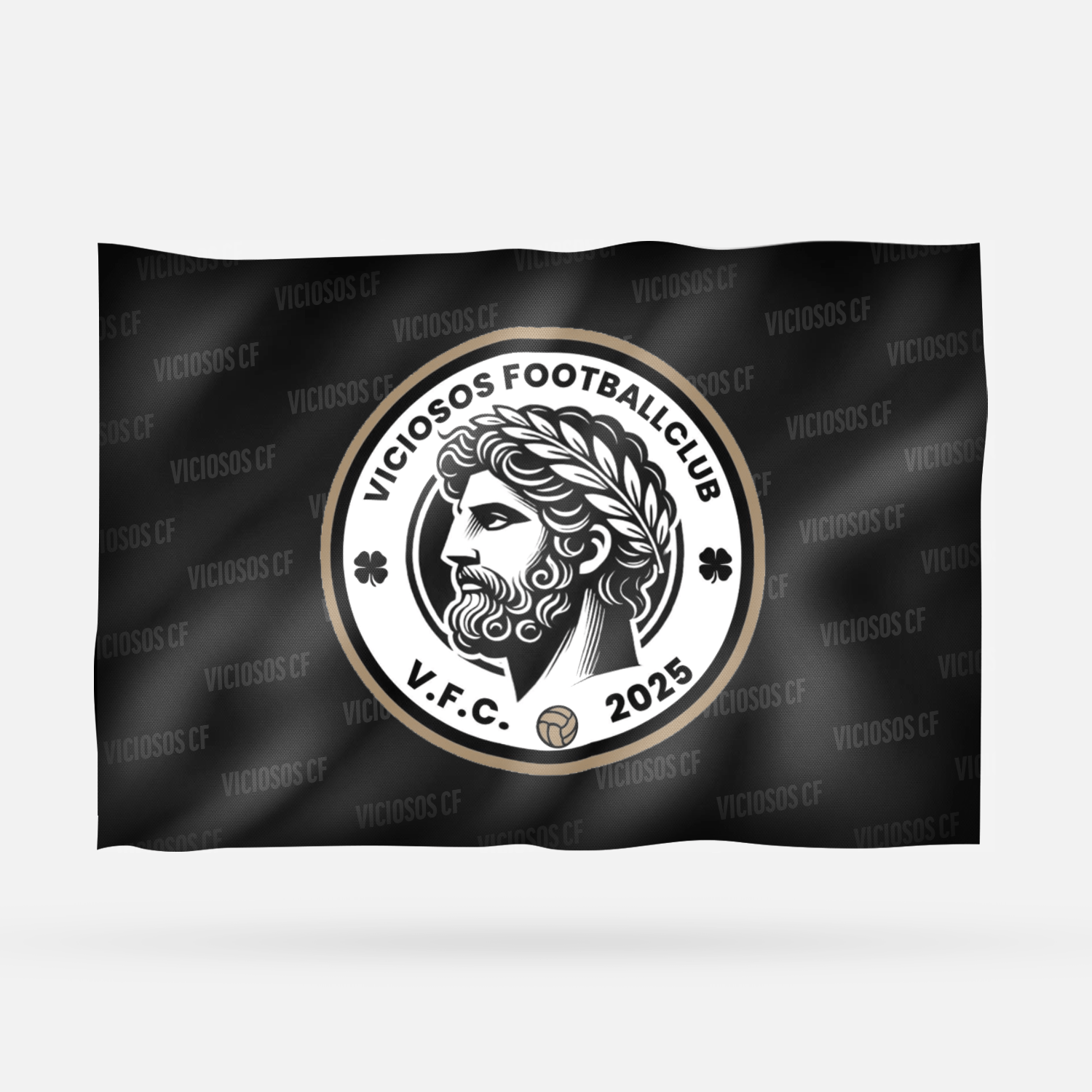 VICIOSOS CF - Imagen 15