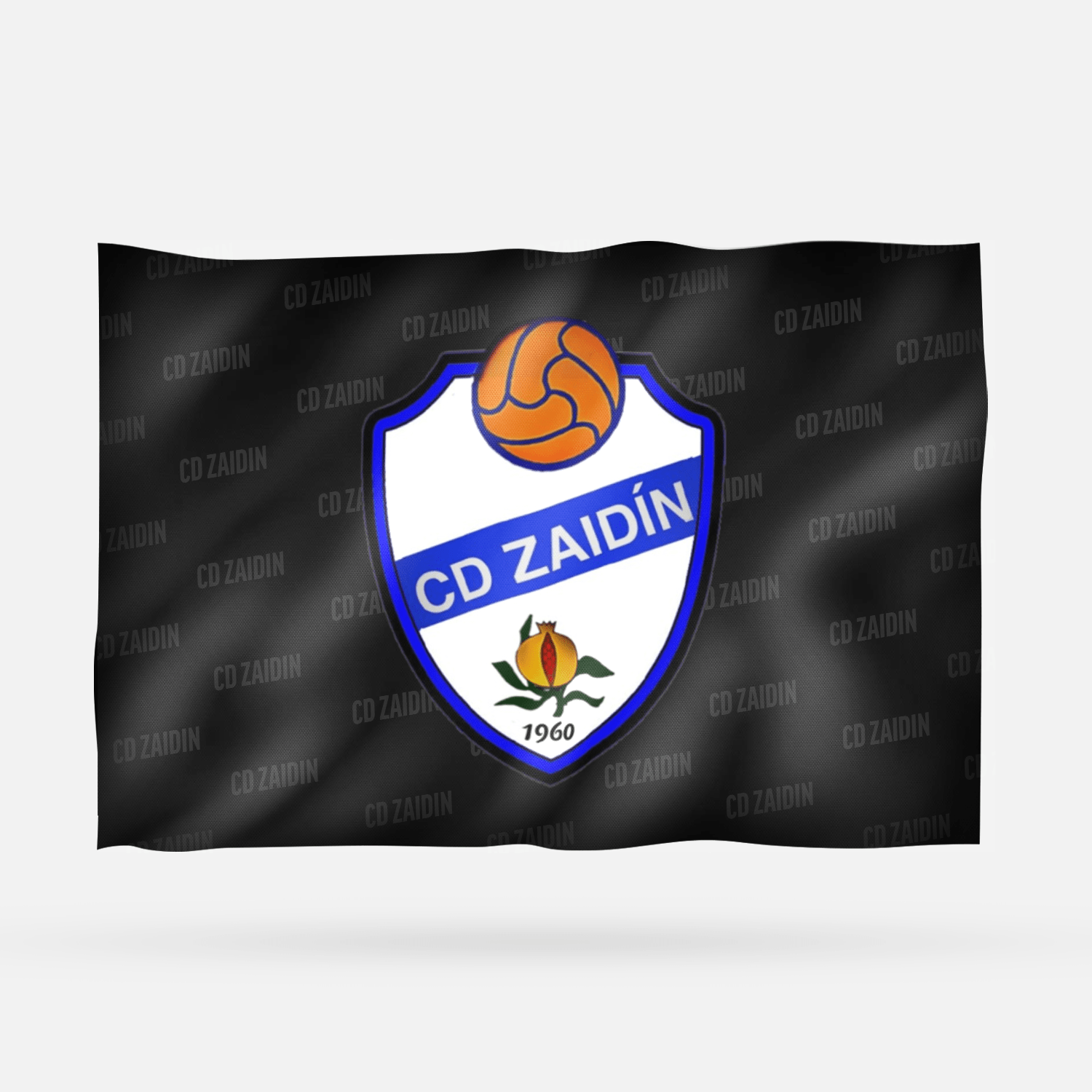 CD ZAIDIN 2026 - Imagen 6
