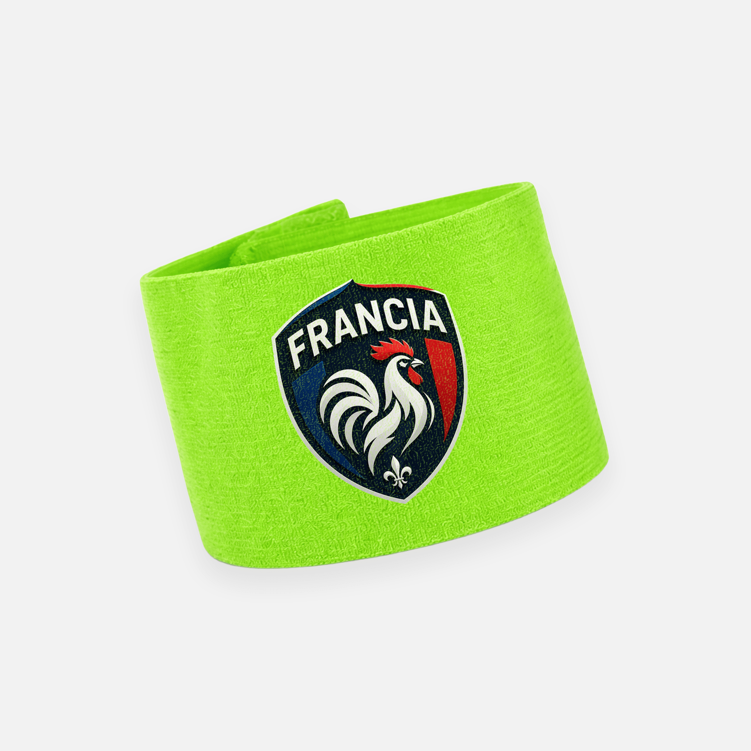 FRANCIA - Imagen 7