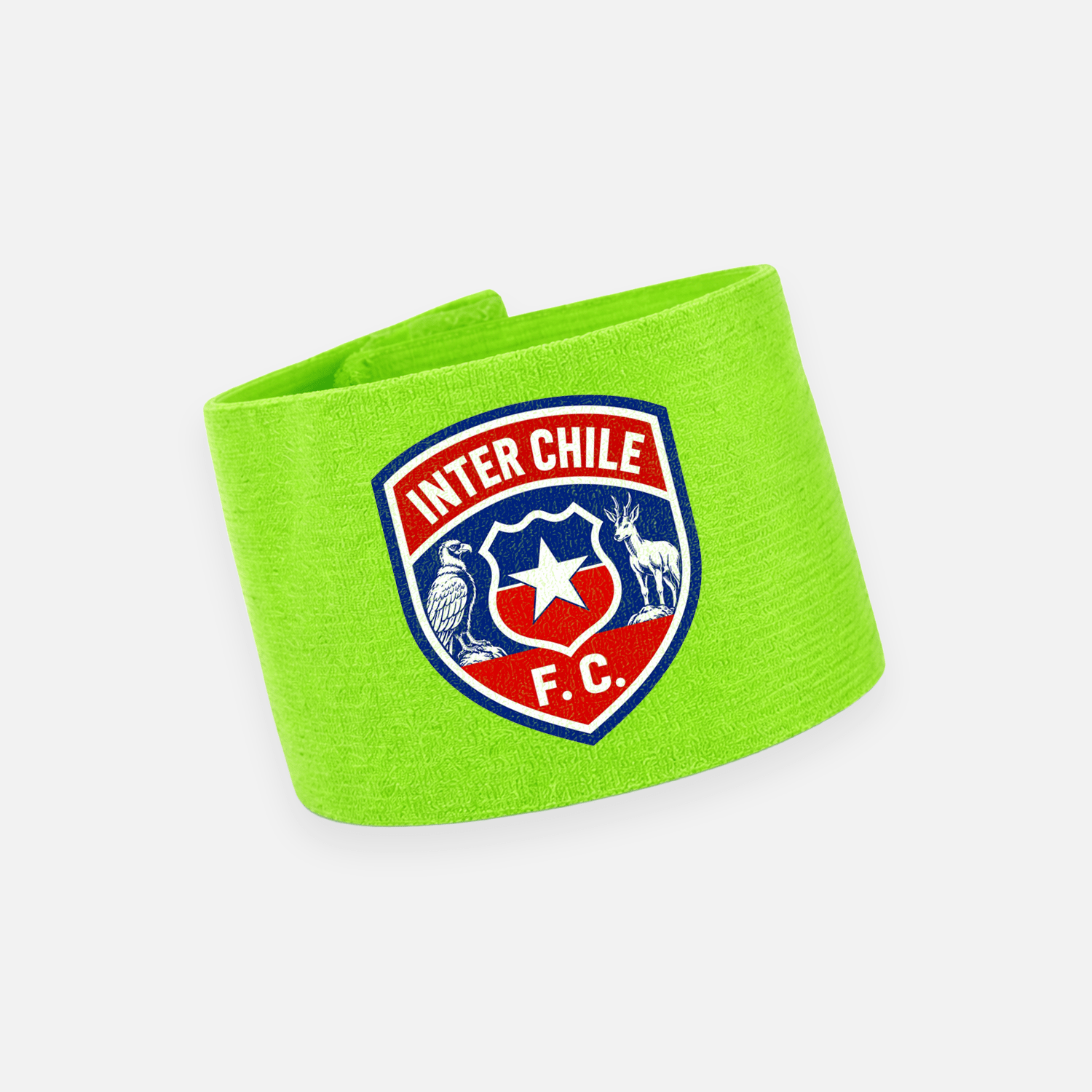 INTER CHILE F.C - Imagen 7