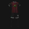 CELTIC BULLS 2026 - Imagen 2