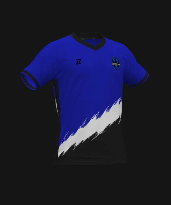 GUERREROS Z