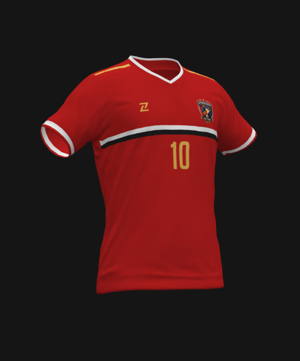 INTERNACIONAL DEL SUR