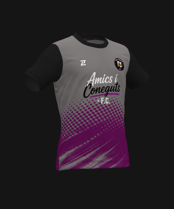 AMICS I CONEGUTS F.C