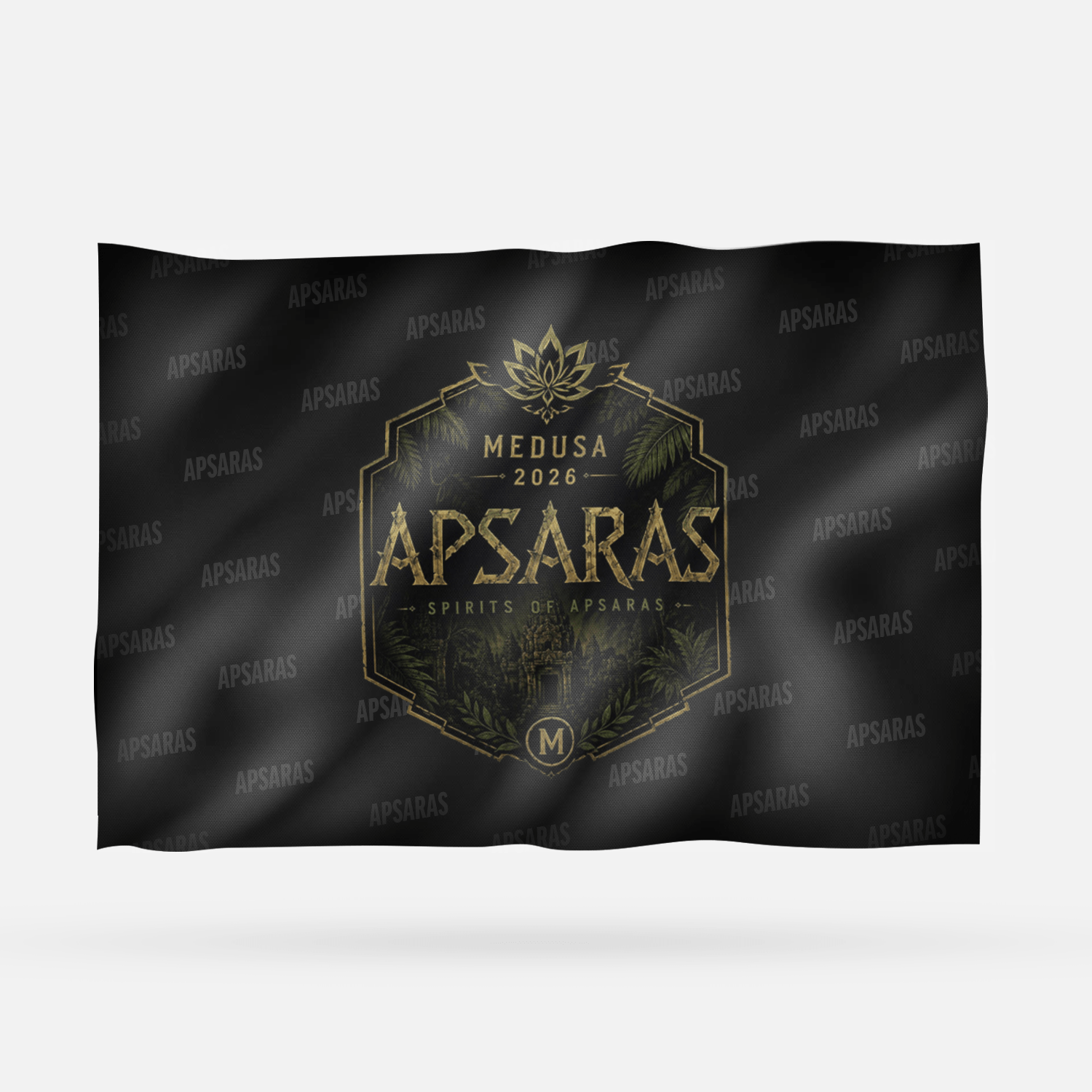 APSARAS - Imagen 6